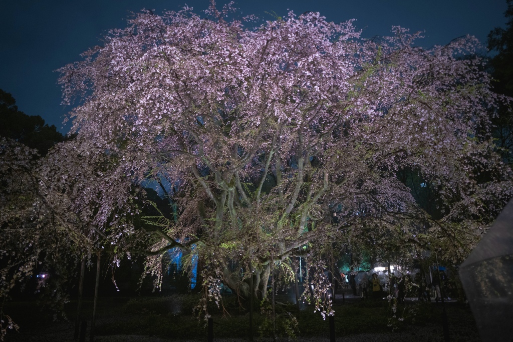 六義園にて
