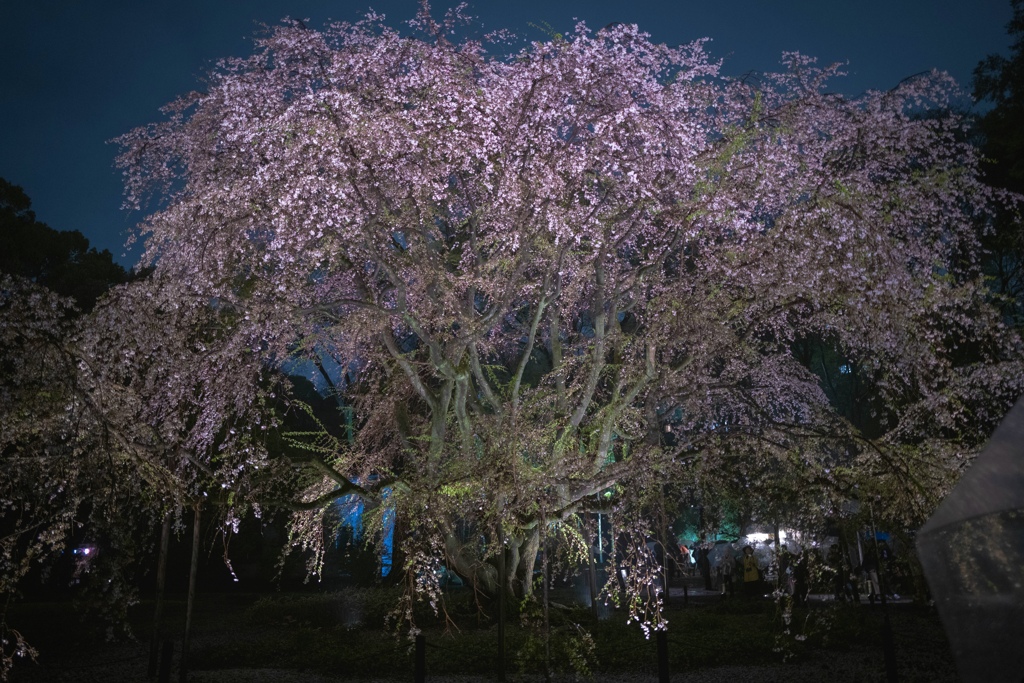 六義園にて