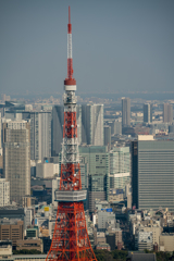 tokyo’ｓ cityscapesⅦ１