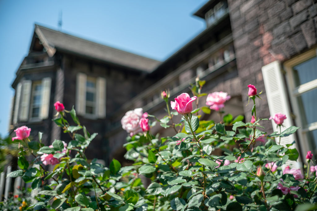 tokyo’ｓ cityscapes Ⅸ１