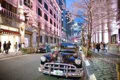 日本橋　桜とVintage Car
