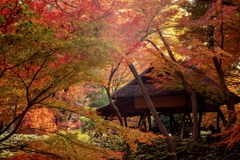 六義園にて