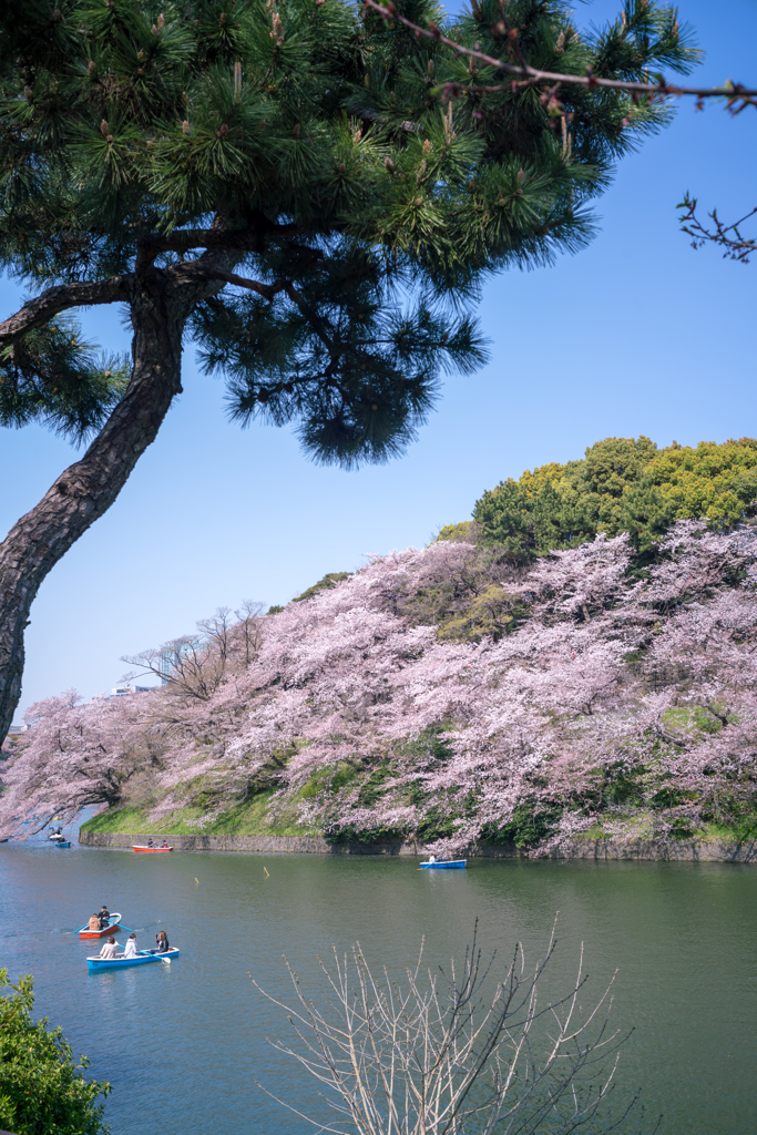 tokyo’ｓcityscapeⅧ１