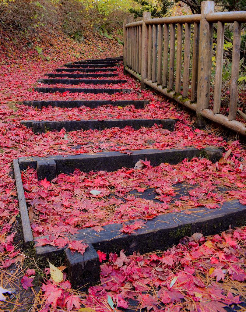 落葉の階段