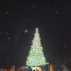 雪夜のツリー