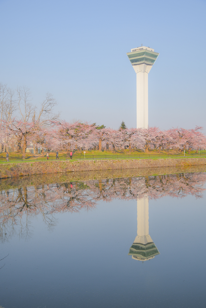 花見日和