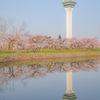 花見日和
