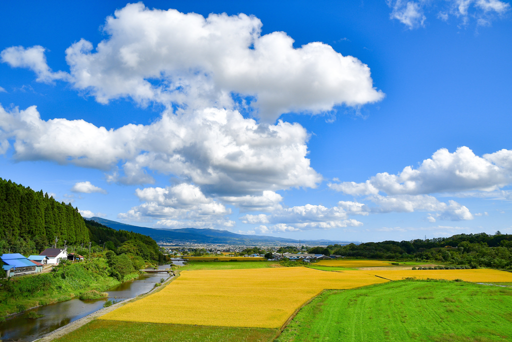 田舎