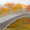 大沼紅葉本番