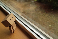 雨だなぁ