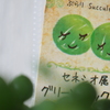 セネシオ属…