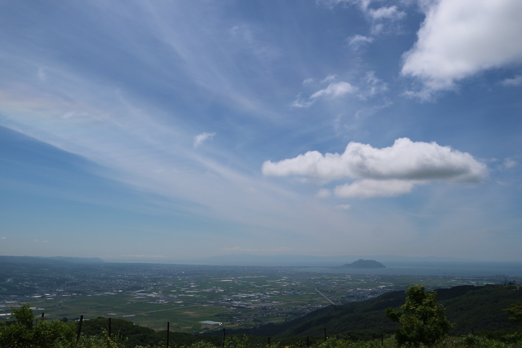 きじひき