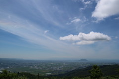 きじひき