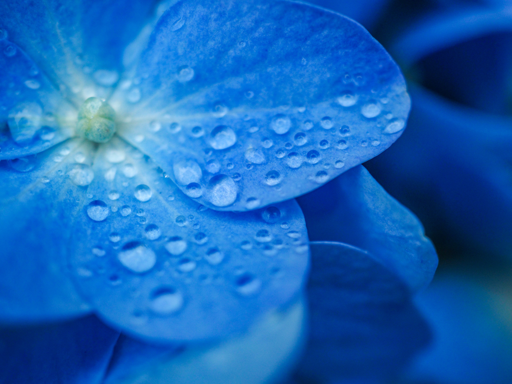 雨上がり