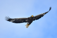 青空