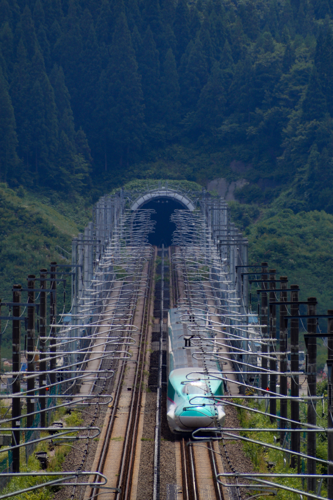 展望台から新幹線