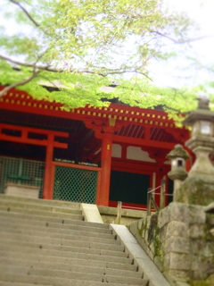 ・