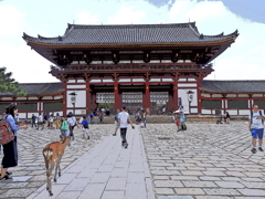 奈良 