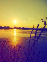 私が見る夕陽