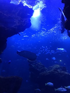 海の下のほう