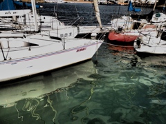 浮かぶ