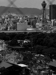 大阪の景色