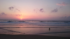 夕日とワンコ