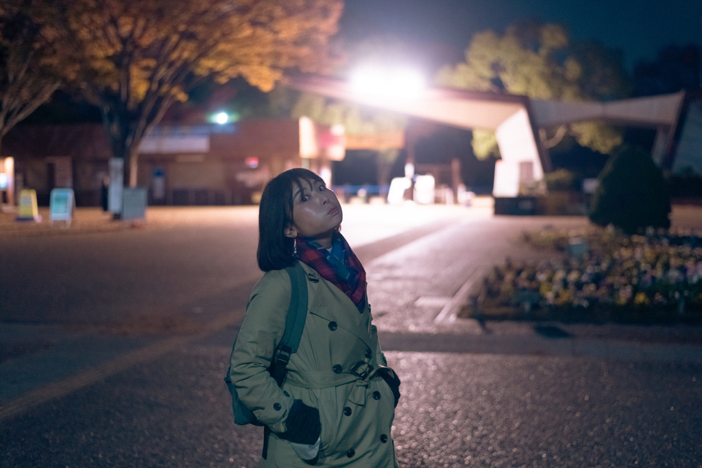 夜の昭和記念公園
