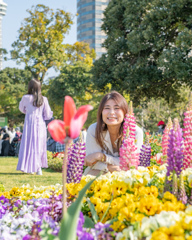 春の花