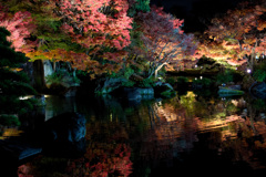 姫路好古園２