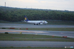 スカイマーク　到着⑤