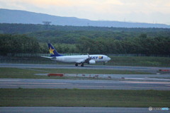 スカイマーク　到着④