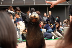 笑顔