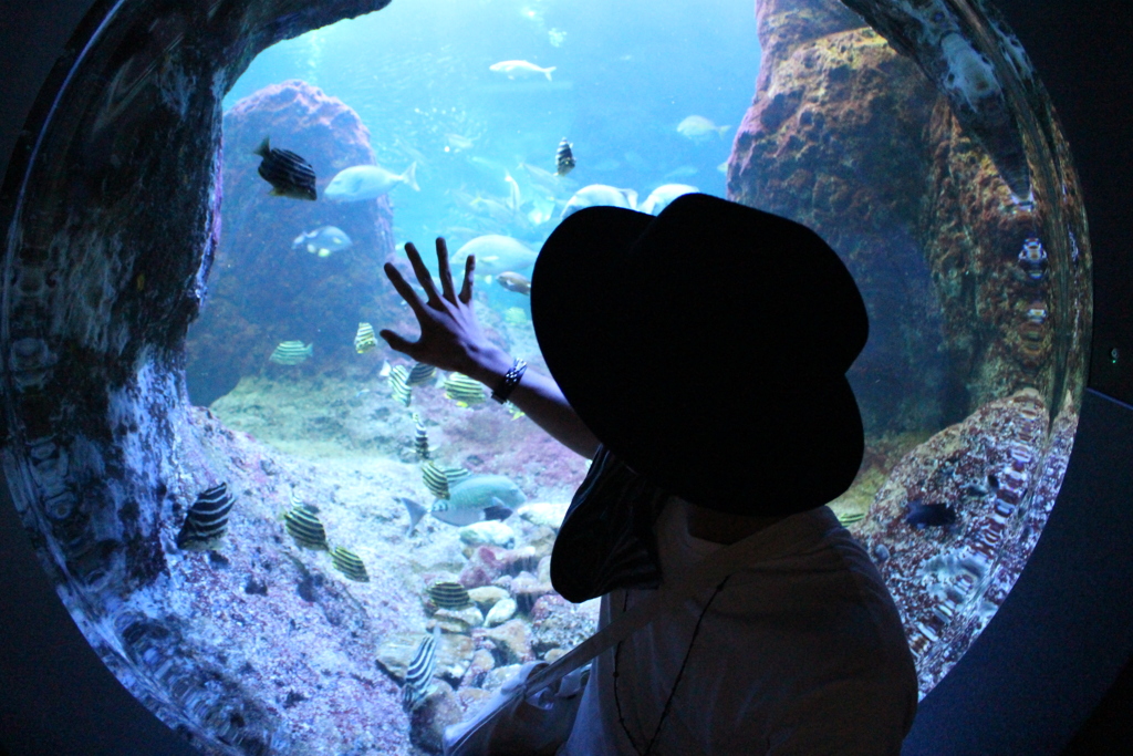 水族館