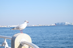 黄昏