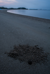 Carl Zeiss Distagon 2,8/25 ZS T*