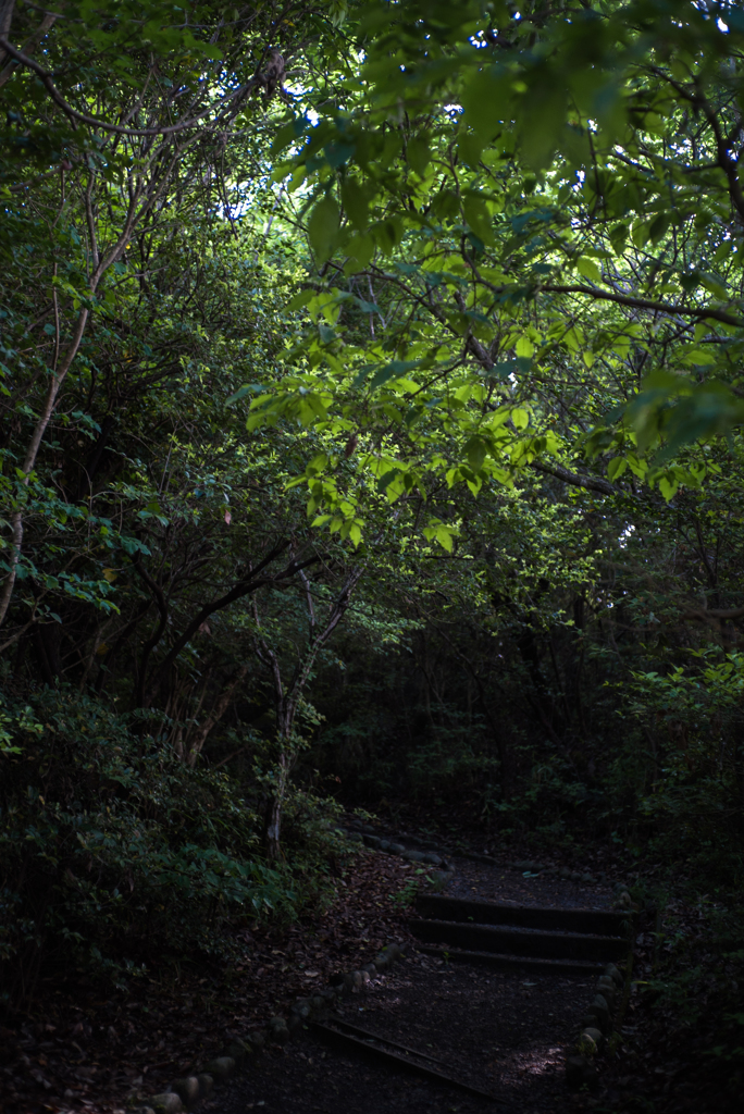 Carl Zeiss Tessar 2,8/45 T*