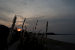 Carl Zeiss Distagon 2,8/25 ZS T*