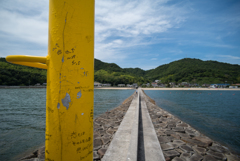 Carl Zeiss Distagon 4/18 T*