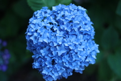 6176685888_IMG_4802