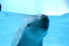6174612176_IMG_2478
