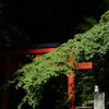 西国三十三所巡り 岡寺