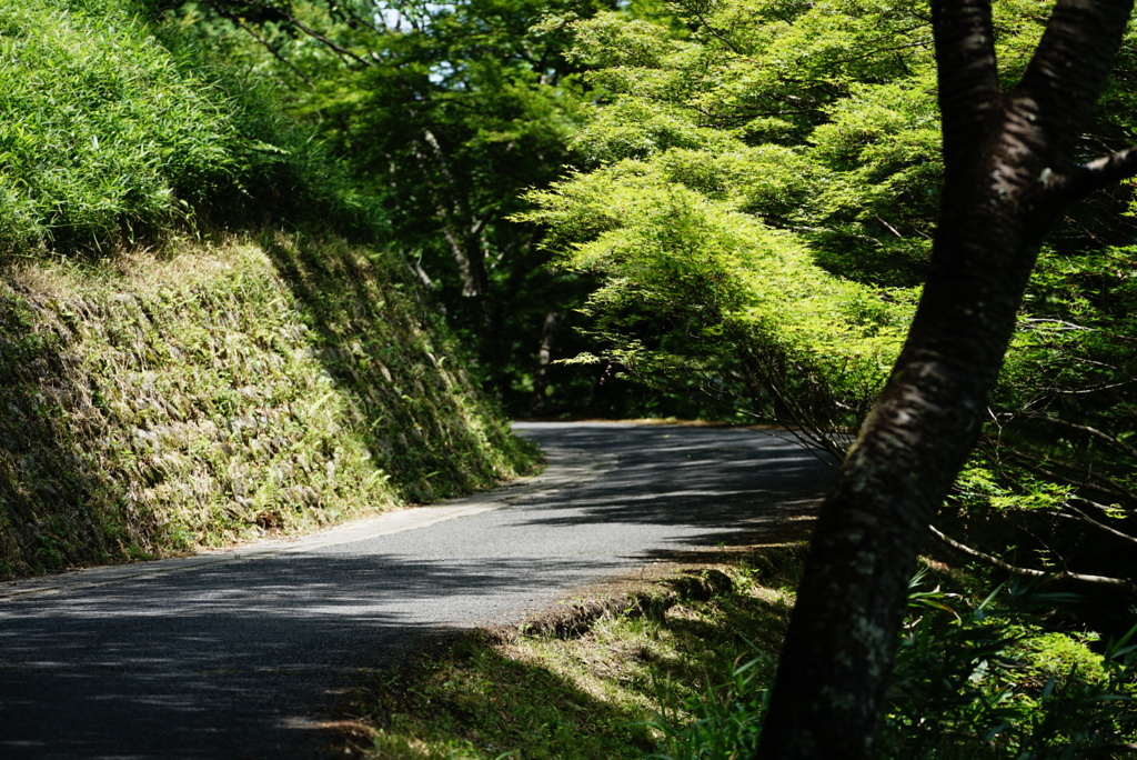 吉野山散策3