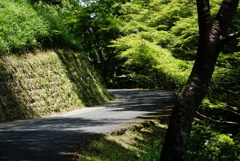 吉野山散策3