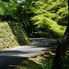 吉野山散策3