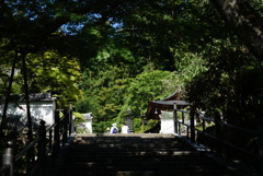 西国三十三所巡り 岡寺2