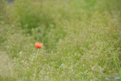 ぽつり