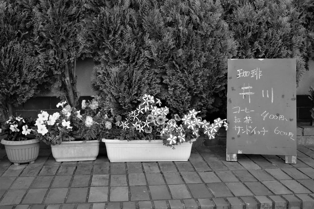珈琲井川