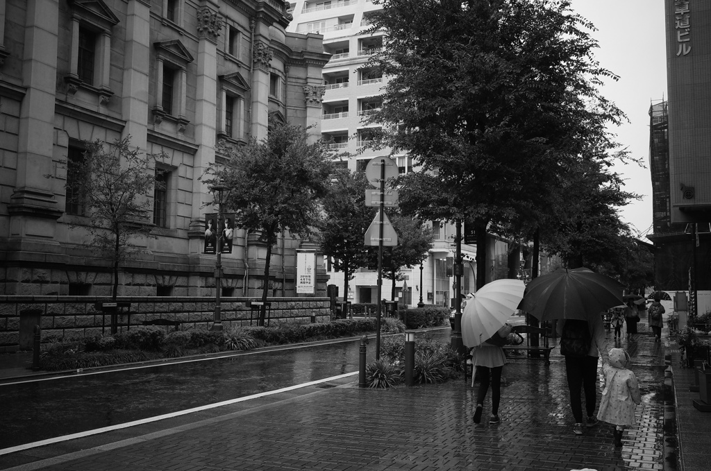 雨の馬車道