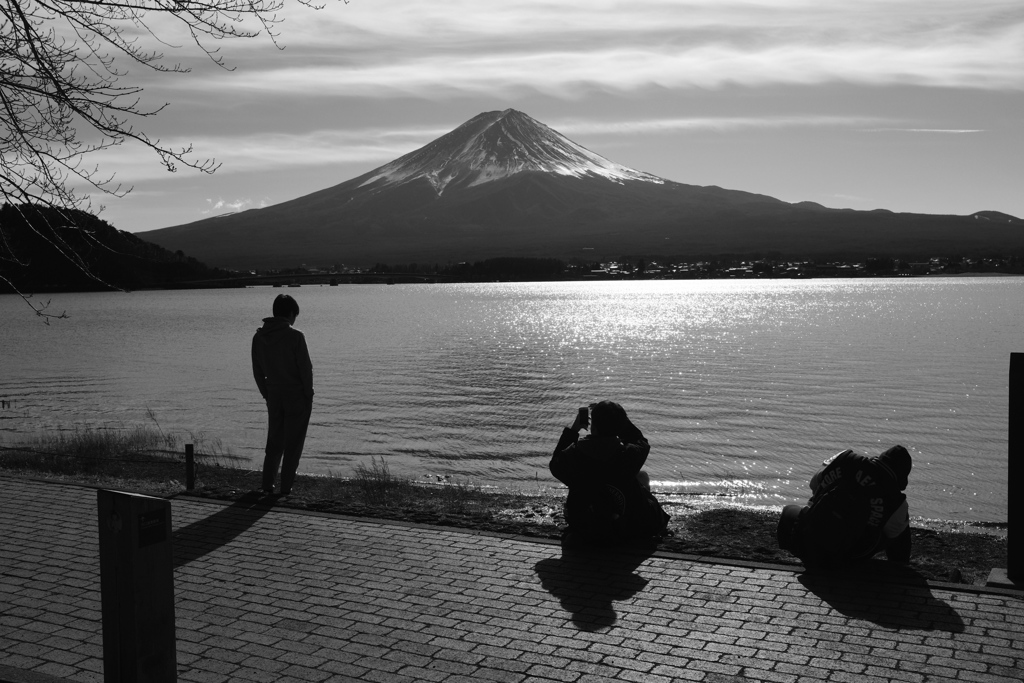 来年の予感